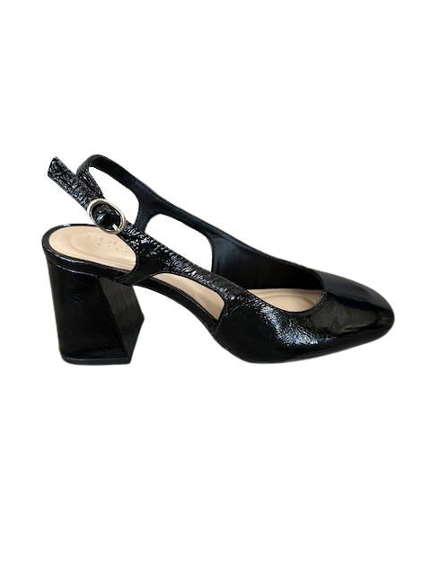 Cocco Miami Women's ZS 19143-23 Black - Orleans Shoe Co.