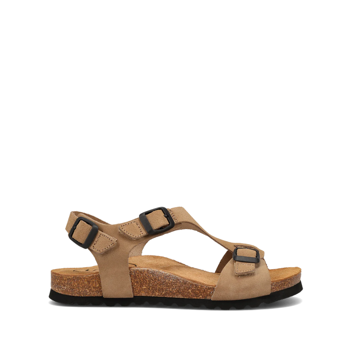 Taos Women's MVP Oat Suede - Orleans Shoe Co.