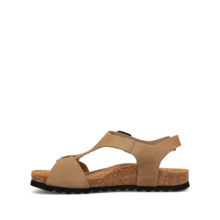 Taos Women's MVP Oat Suede - Orleans Shoe Co.