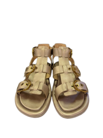 Homers Women's 22121 Anais Etoile Calisto - Orleans Shoe Co.