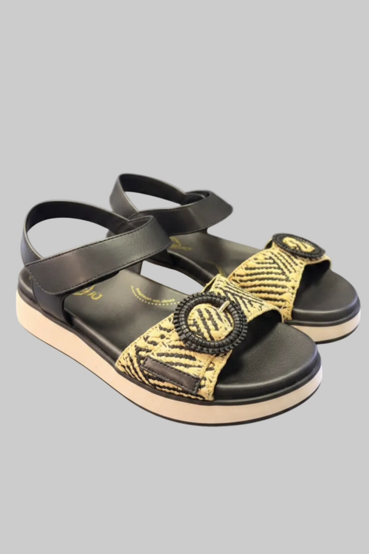 Jax & Bard Women's Freret Black
