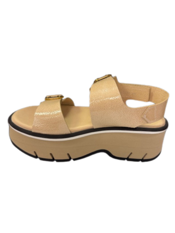 Homers Women's 21654 Lucia Reverse Vernice Dark Beige - Orleans Shoe Co.
