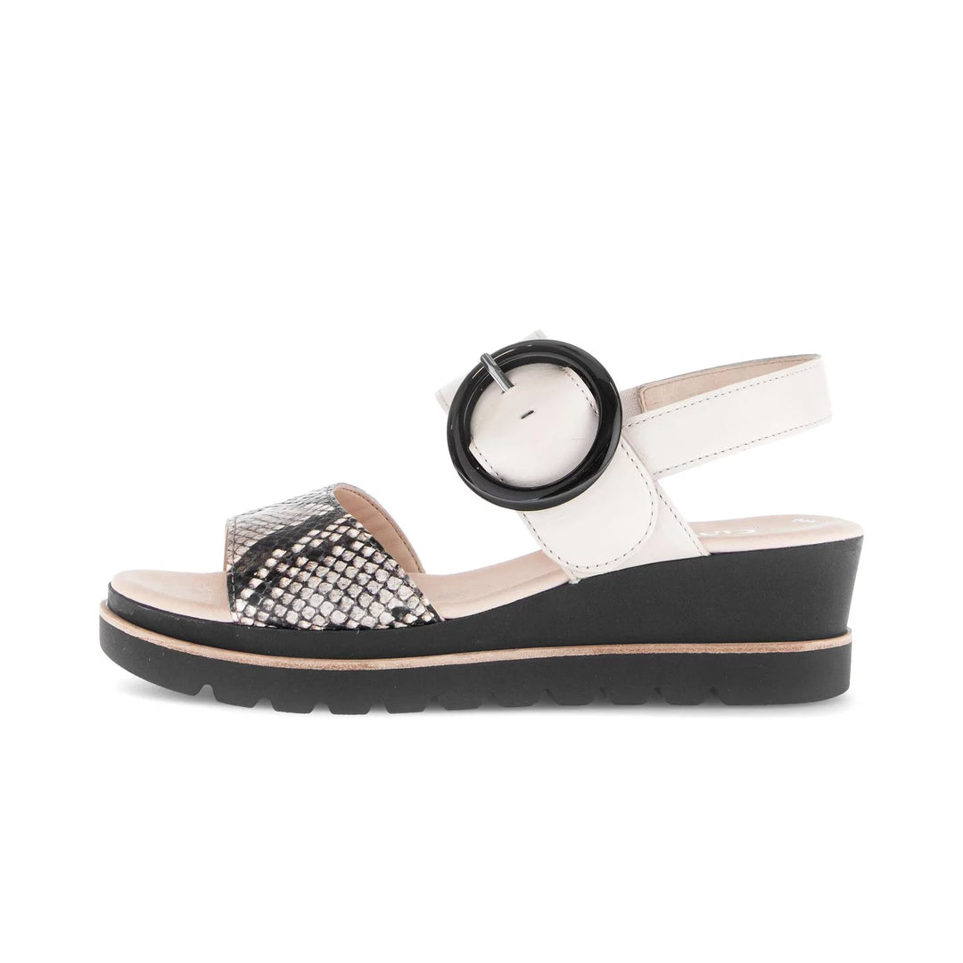 Gabor Women's 64.645.49 Muschel - Orleans Shoe Co.