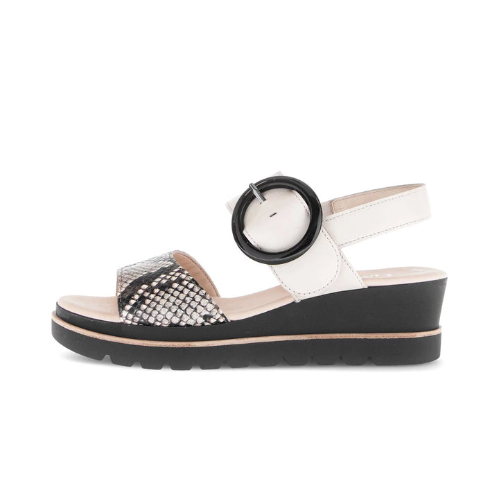Gabor Women's 64.645.49 Muschel - Orleans Shoe Co.
