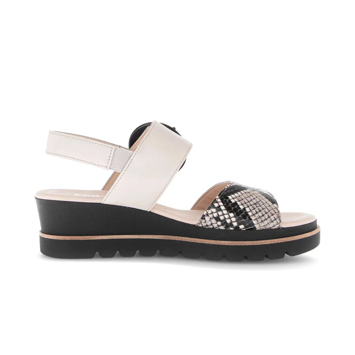 Gabor Women's 64.645.49 Muschel - Orleans Shoe Co.