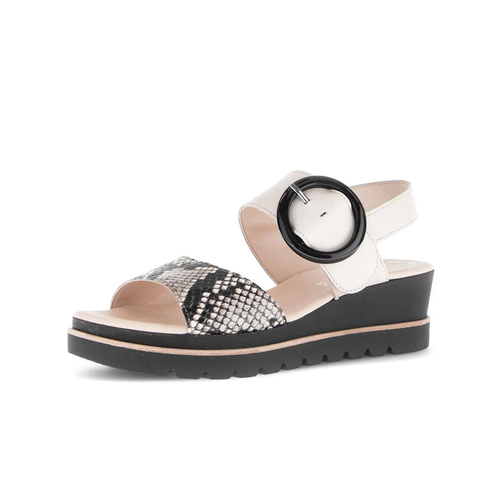 Gabor Women's 64.645.49 Muschel - Orleans Shoe Co.