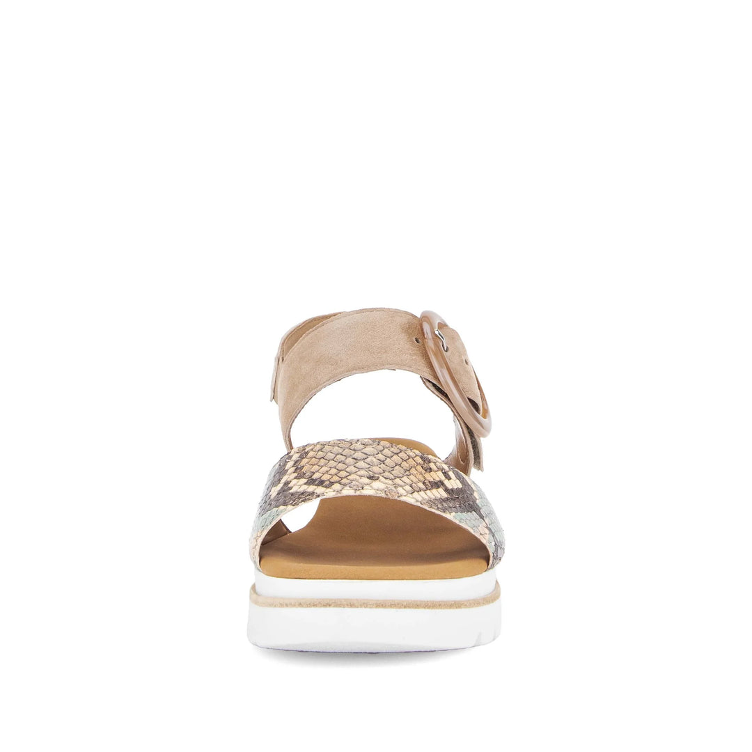 Gabor Women's 84.645.36 Python - Orleans Shoe Co.