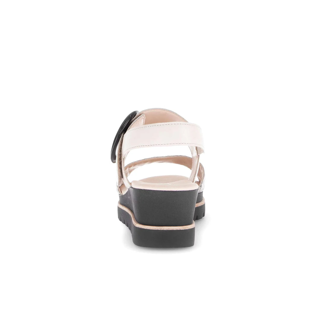 Gabor Women's 64.645.49 Muschel - Orleans Shoe Co.