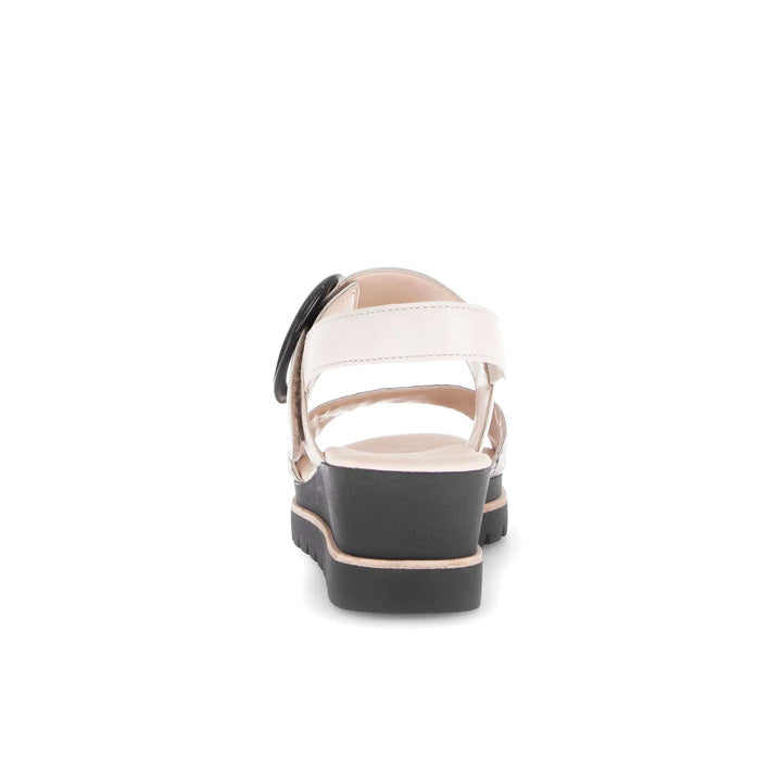 Gabor Women's 64.645.49 Muschel - Orleans Shoe Co.