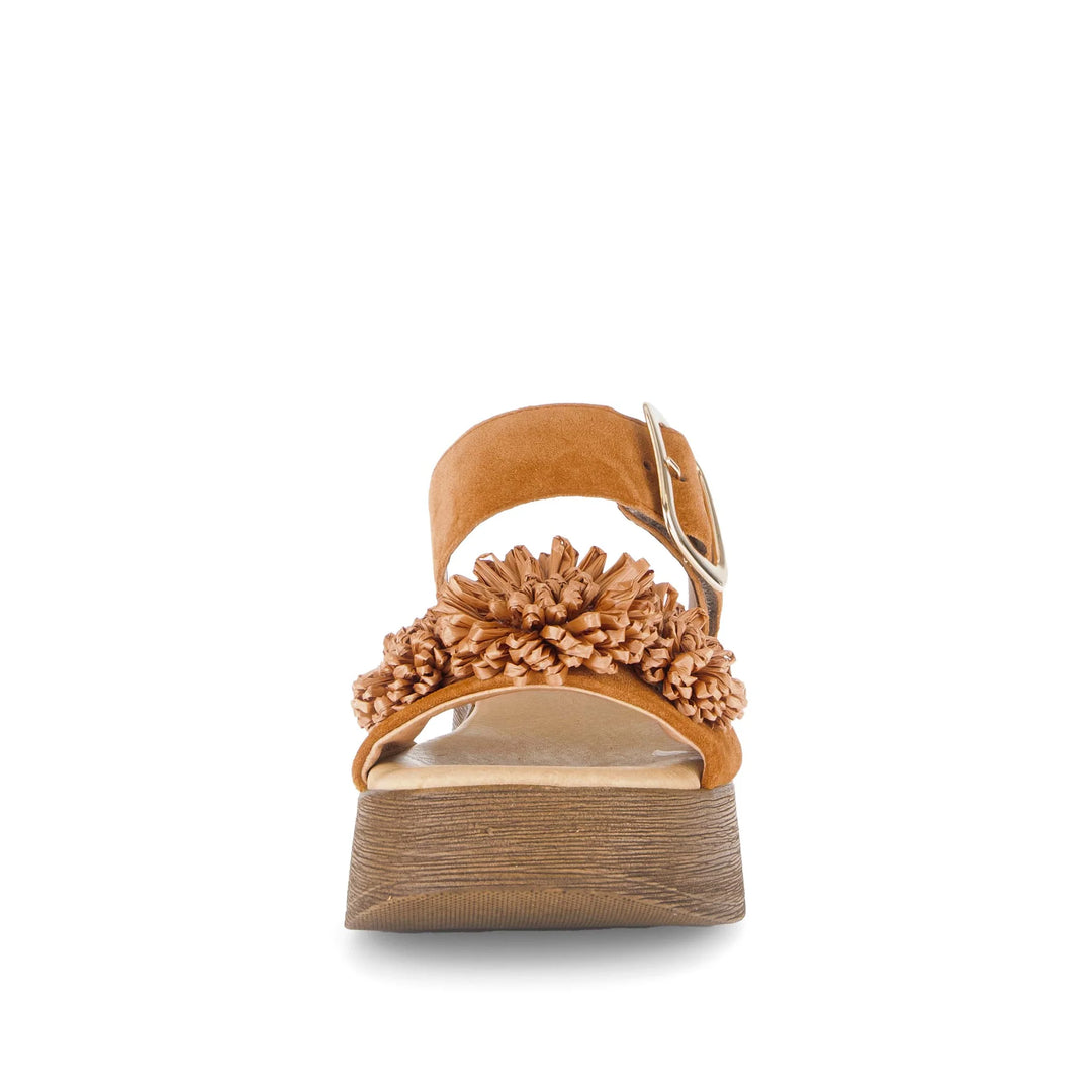 Gabor Women's 84.525.11 Valley - Orleans Shoe Co.