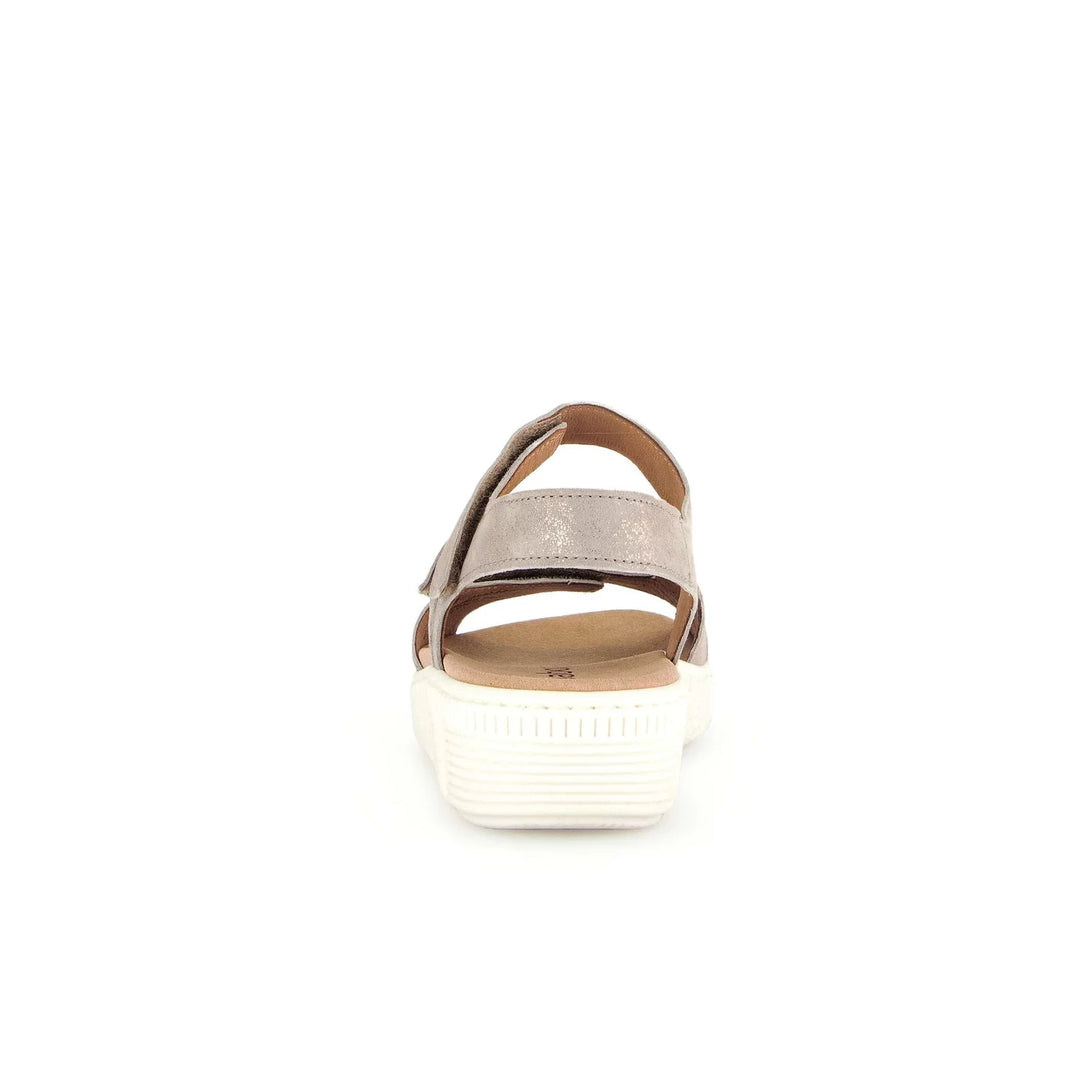 Gabor Women's 83.600.62 Muschel - Orleans Shoe Co.