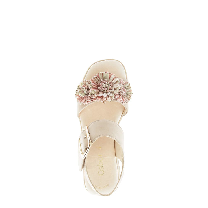 Gabor Women's 84.525.12 Oak - Orleans Shoe Co.