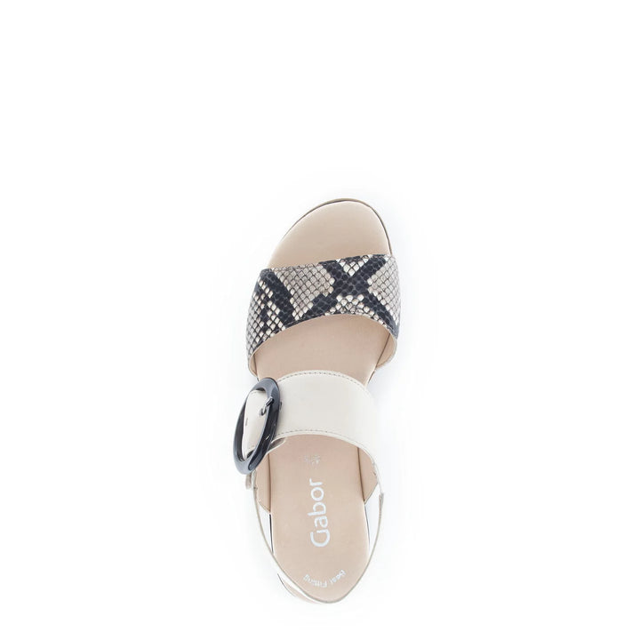 Gabor Women's 64.645.49 Muschel - Orleans Shoe Co.