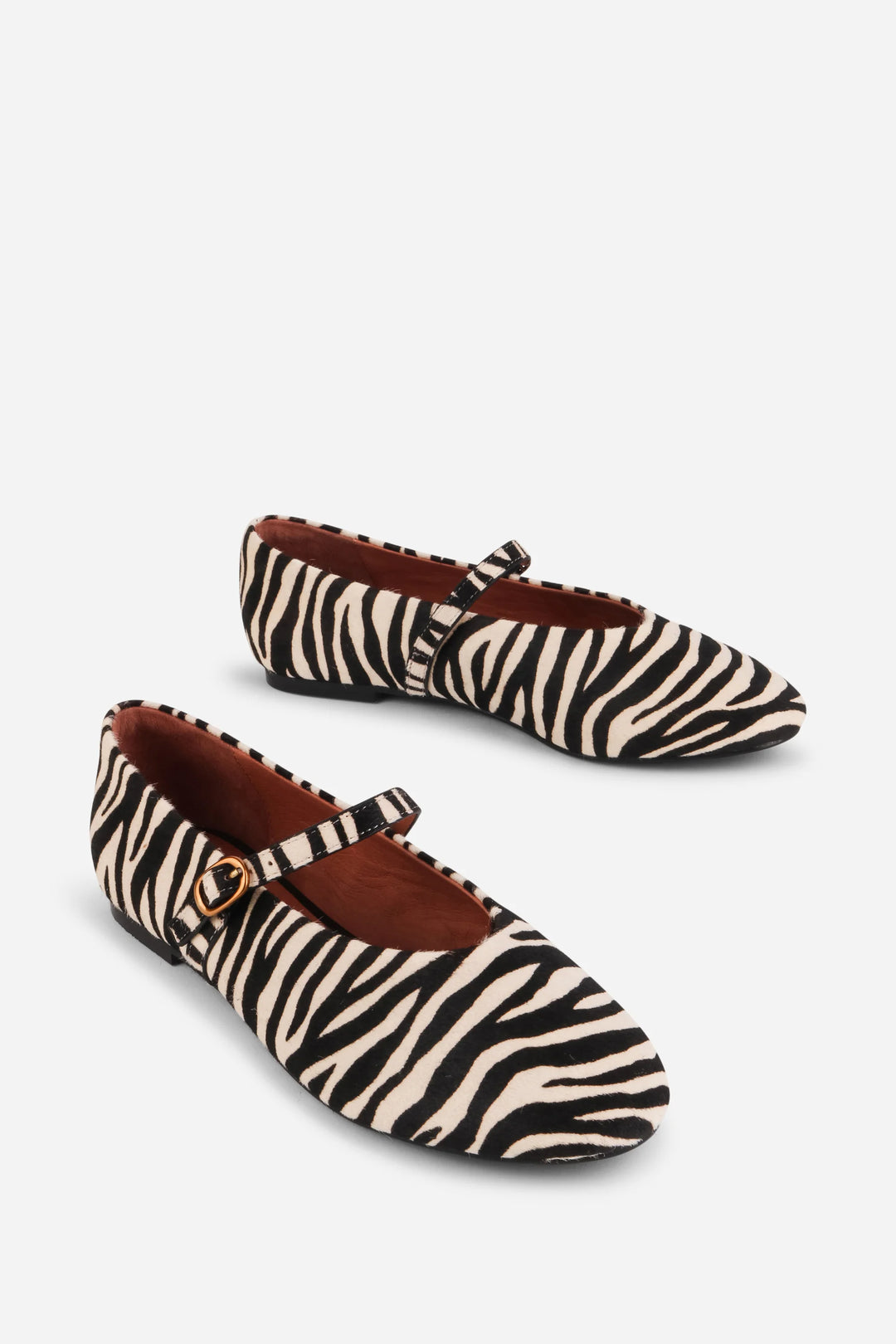Intentionally Blank Women's Larisa Zebra